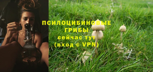 гашик Бронницы