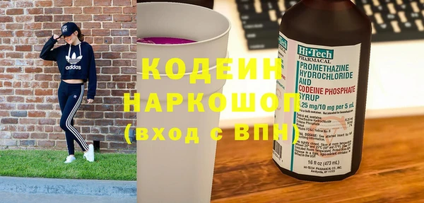 сатива Чердынь